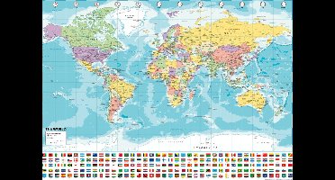Wereldkaart poster - UV lak - 70 x 100 cm - vlaggen