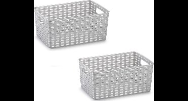 Plasticforte Opbergmand - 5x - Kastmand - rotan kunststof - zilver - 10 Liter - 22 x 33 x 16 cm