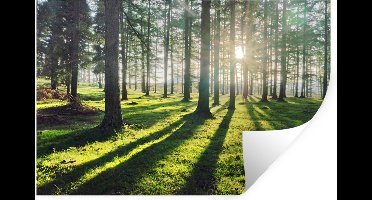 Muurstickers - Sticker Folie - Bomen - Natuur - Bos - 30x20 cm - Plakfolie - Muurstickers Kinderkamer - Zelfklevend Behang - Zelfklevend behangpapier - Stickerfolie