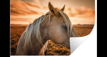 Muurstickers - Sticker Folie - Paard - Dieren - Portret - 30x20 cm - Plakfolie - Muurstickers Kinderkamer - Zelfklevend Behang - Zelfklevend behangpapier - Stickerfolie