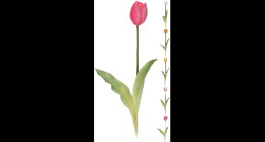 Tulp mini 40cm 5ass klNampook