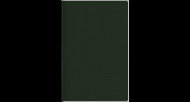 vidaXL - Tenttapijt - 400x600 - cm - donkergroen