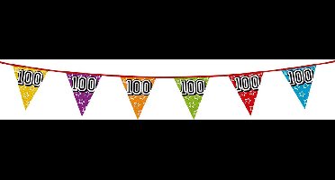 Boland Vlaggenlijn 100 jaar - multicolor - glitters - 8 meter - kunststof - vlaggetjes