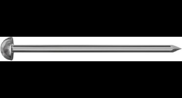 Homefix. Spijkers. Draad nagels 2.4 x 45mm. RVS. bol kop .40 gram.