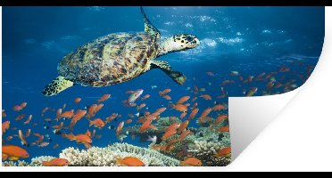 Muurstickers - Sticker Folie - Koraalrif met schildpad - 40x20 cm - Plakfolie - Muurstickers Kinderkamer - Zelfklevend Behang - Zelfklevend behangpapier - Stickerfolie