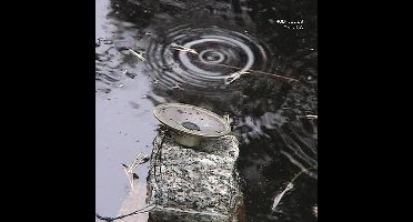Rolf Julius - Raining - Small Music No. 3 (CD)