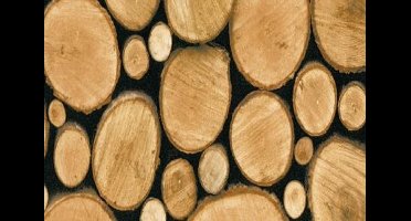 Plakfolie-Plakplastic houtblok 45cm x 15mtr. rol