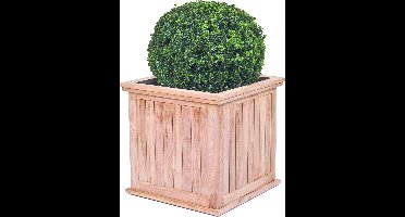 Bloembak teak Kalimantan groot