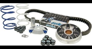 Variateur set v-snaar Peugeot Buxy Speedfight Peugeot Vivacity Polini 241.510.2