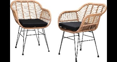 Casaria Polyrattan Kuipstoel Bali - met Kussens – 2 Stuks