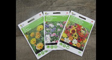 Buzzy Bloem  Zaden - Goudsbloem en Bloemen voor Vlinders Goed samen te combineren