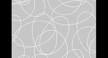 Raamfolie statisch-anti inkijk-45cmx20mtr. leonardo