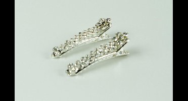 Duckklem met bloemetje strass