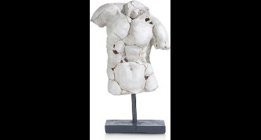 Beeld Cicero h 65 cm | Decoratie