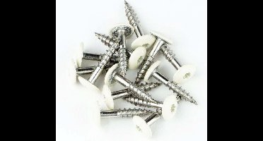 Dak&Gevel Kleurkopschroef 4.8 x 25 mm - RVS-A2 - wit RAL9010 - TX20 (Per 50 stuks)