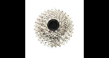 FALKX 9--speed Cassette index 11-36