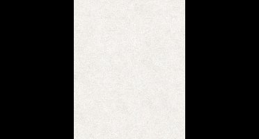 Betonlook - Behang - Industrieel - Vliesbehang - Vintage Deluxe - 0,53 x 10,05 M.