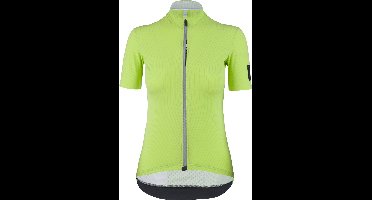 Q36.5 Dames Shirt korte mouwen Pinstripe X - Groen - M