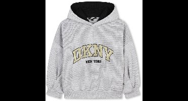 Dkny D60249 Hoodie Grijs 6 Years Meisjes