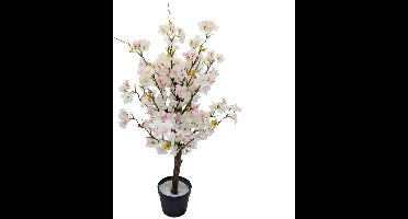 Hortus - Bloesemboom roze 60 cm