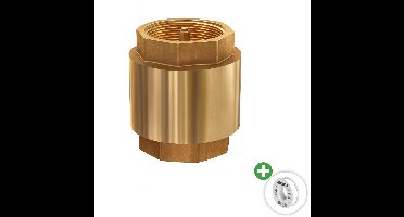 Deltaline - 1 1/4" Terugslagklep met messing insert - keerklep - 2x binnendraad - 39 mm - 18bar - Incl. PFTE Tape