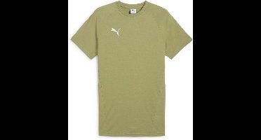 Puma Shirt TeamEVOSTRIPE Tee 659953 Calming Green-Puma Silver-Puma White-M
