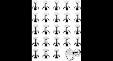 Magnetische - Metallic magneten - set van 20 stuks - Neodymium - zilver