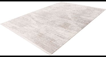 Pierre Cardin Vloerkleed - Tapijt - Design - Zilver Wit - Modern en Elegant - 100% Acryl - Korte Franjes