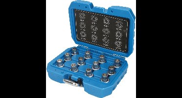 BRILLIANT TOOLS Velgbeveiliging set voor VW 12 stuks - BT691190