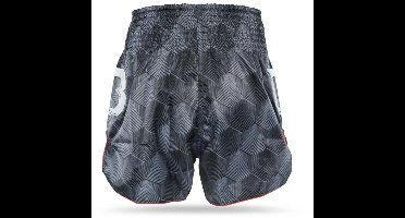 Fairtex x Booster TBT Kickboxing shorts - Stealth 1 - L