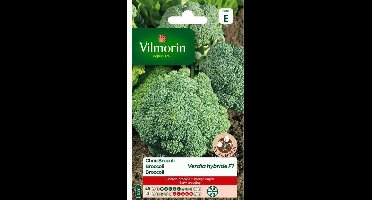 Broccoli Verdia HF1