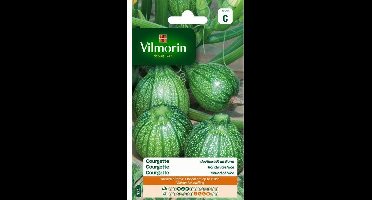 Courgette Ronde van Nice