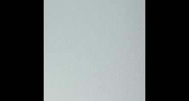 Dutch wallcoverings Glasvezel Dikke ruit / voorgeschilderd / 25mt