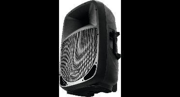 OMNITRONIC VFM-210 2-way Speaker