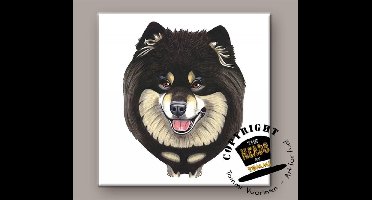 Tegel Hond Finse Laphond