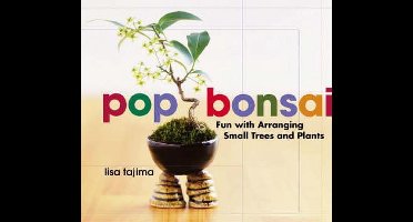 Pop Bonsai: Fun With Arranging Small Trees And Plants