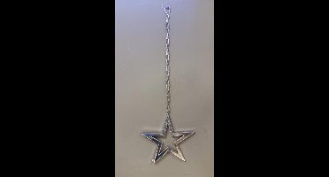 Hanger - Ster - Zilver - 60 cm - Ø 20cm