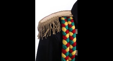 Feestbeest.nl Epaulette goud per paar - Met klittenband