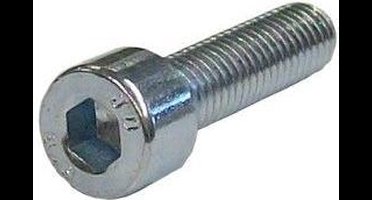 inbusbouten verzinkt m5x30mm