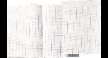 Atlanta by Jalema Accountantspapier formaat 294 x 207 cm opengevouwen tot 294 x 414 cm