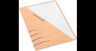 Insteekmap djois sec a4 recy 250gr chamois | 100 stuks