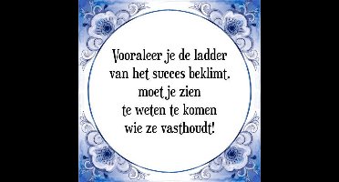 Tegeltje met Spreuk (Tegeltjeswijsheid): Vooraleer je de ladder van het succes beklimt, moet je zien te weten te komen wie ze vasthoudt! + Kado verpakking & Plakhanger