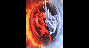 Something Different - 19x25cm Fire and Ice Canvas afbeelding - Multicolours