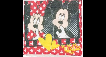 Disney Minnie Mouse Colsjaal / Nekwarmer