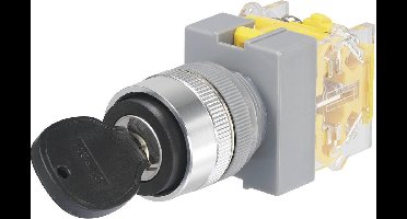 TRU COMPONENTS 704509 Y090-A-20Y/31 Sleutelschakelaar 250 V/AC 5 A 1x aan/uit/aan 2 x 45 ° IP40 1 stuk(s)