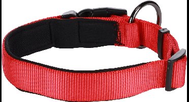 Hond Halsband Abbi Rood M 45-50cm 25mm