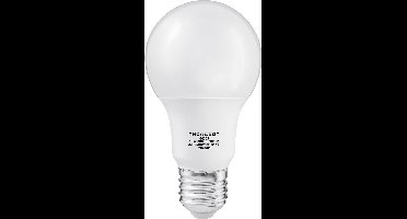 Thorgeon LED Light bulb 10W E27 A60 3000K 806lm