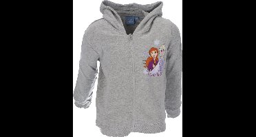 Disney Frozen Vest - Grijs - Katoen - Maat 122/128