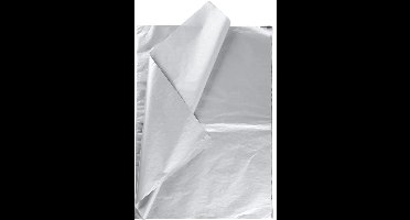 CC Tissuepapier 50x70 cm Zilver 6 vel