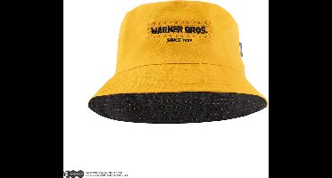 Looney Tunes Bucket Hat Tweety